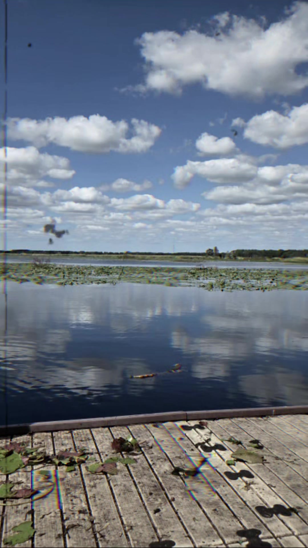 @Florida Fishing POV