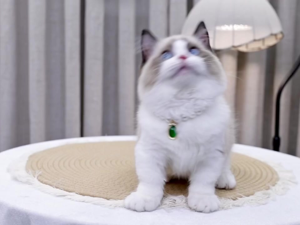 @fuyncats