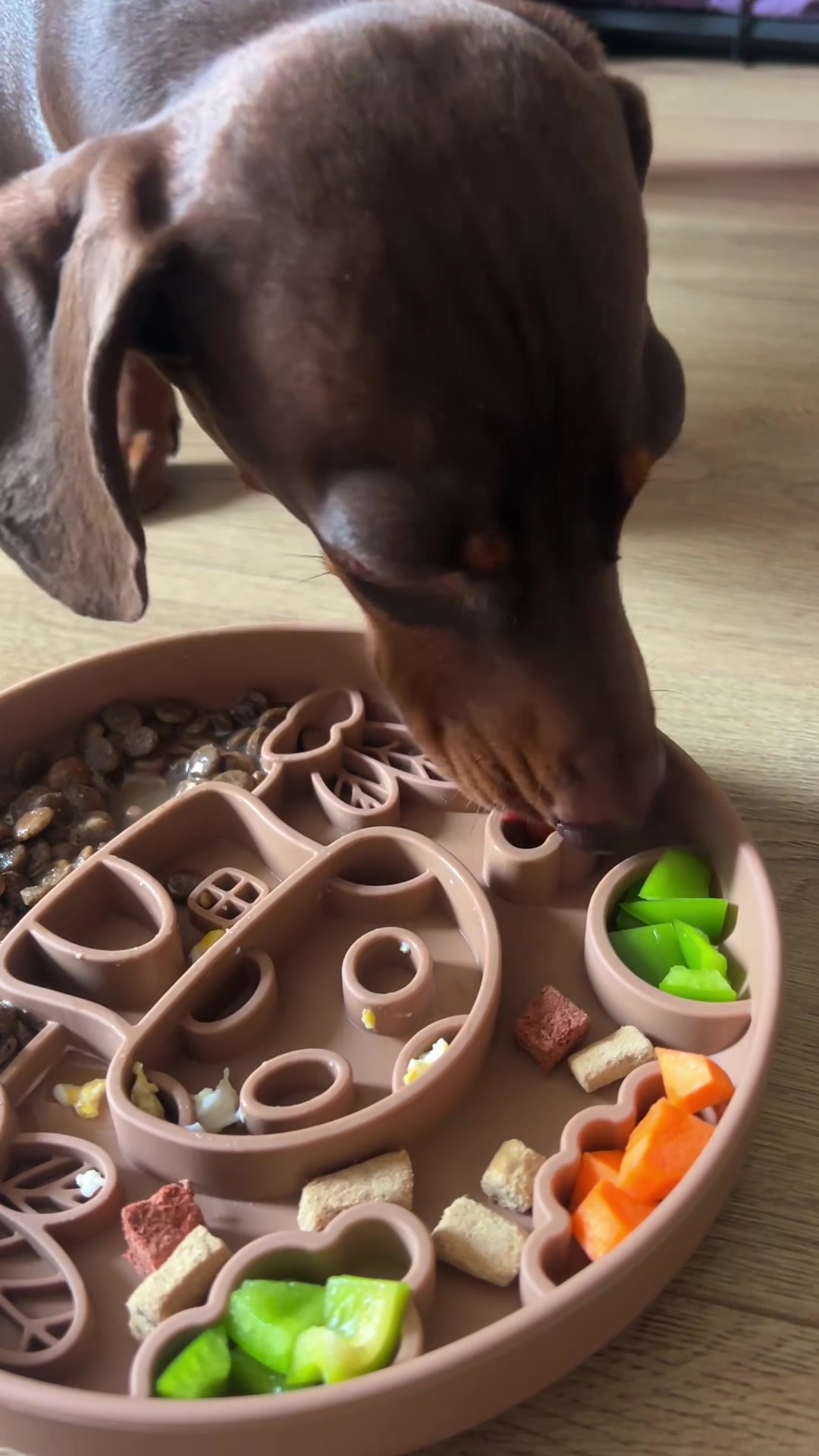 @sir_reggiethesausage