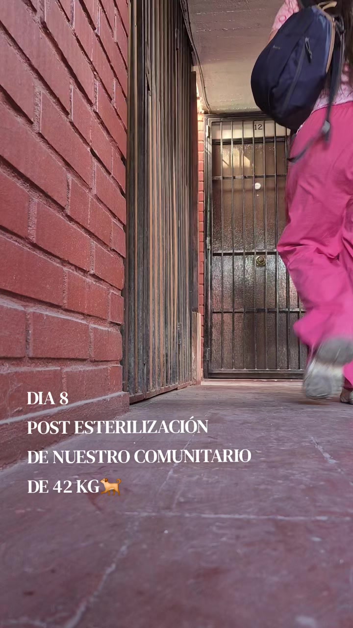 @Dra. Ayleen González