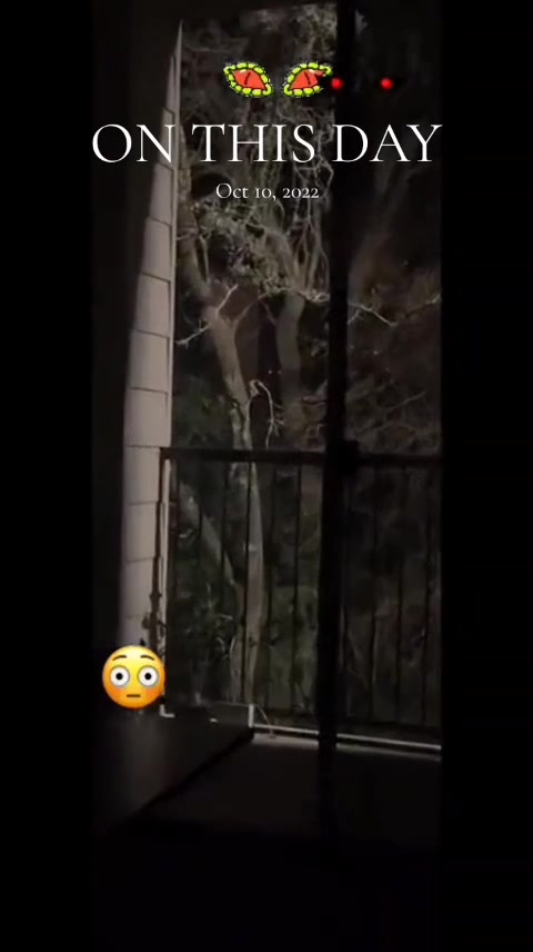 @LuckyT.Smile_