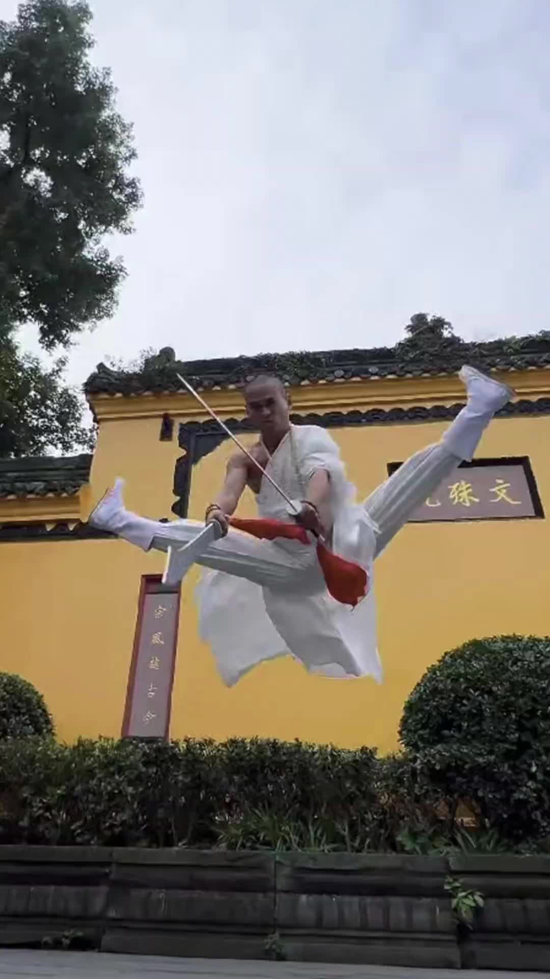 @ShaolinNextGen