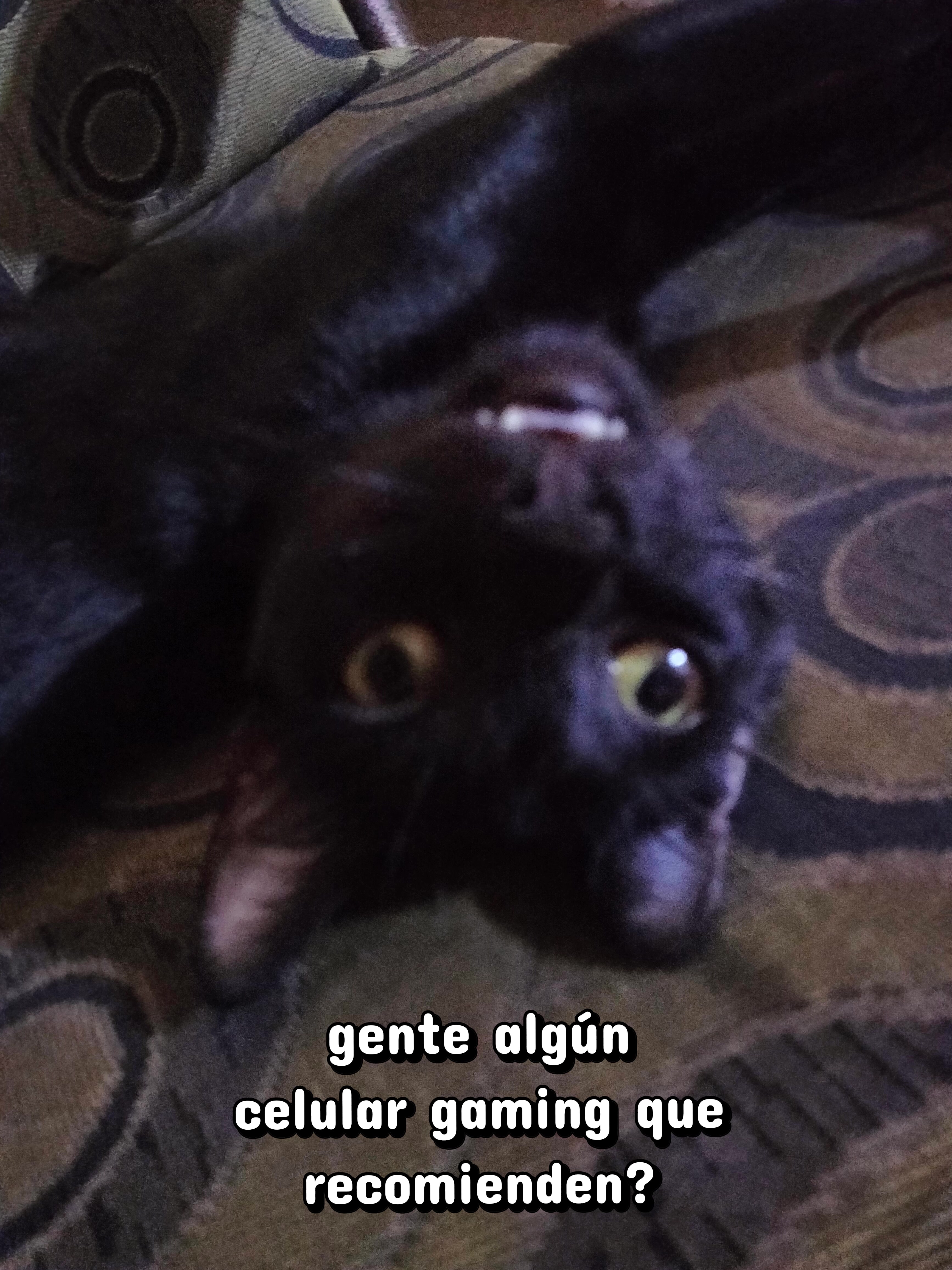 @JavierCantú