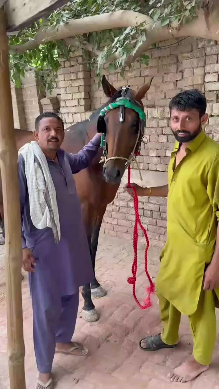 @Muhammad Arif