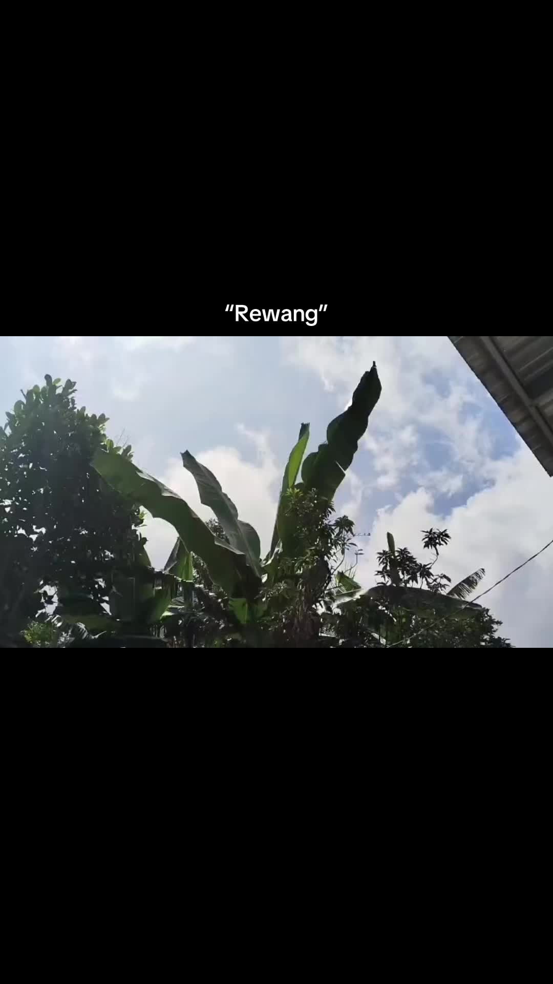 @nickname12