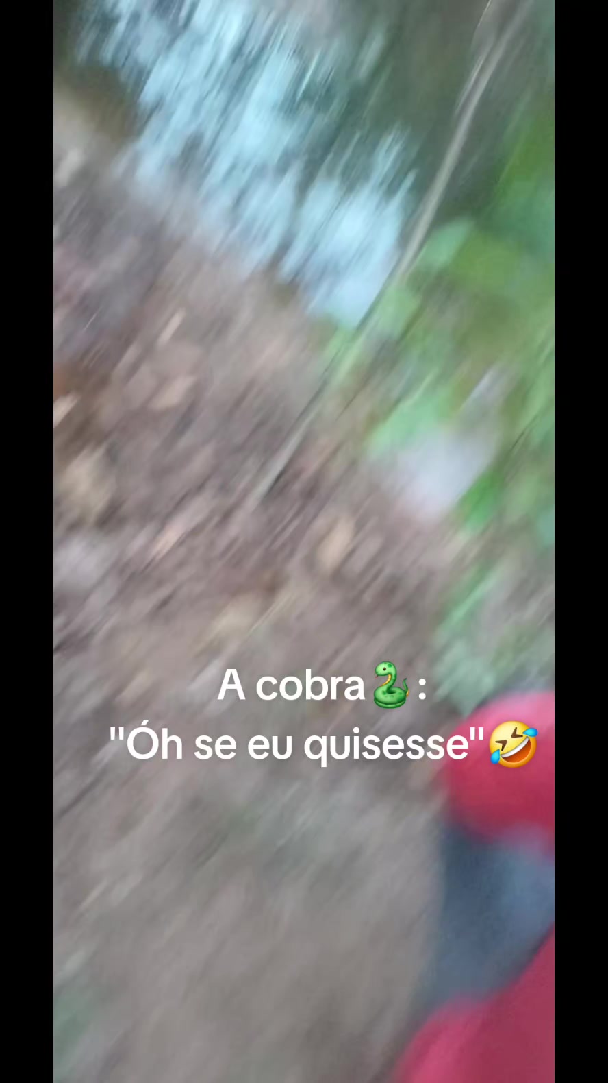 @Paulo Sérgio