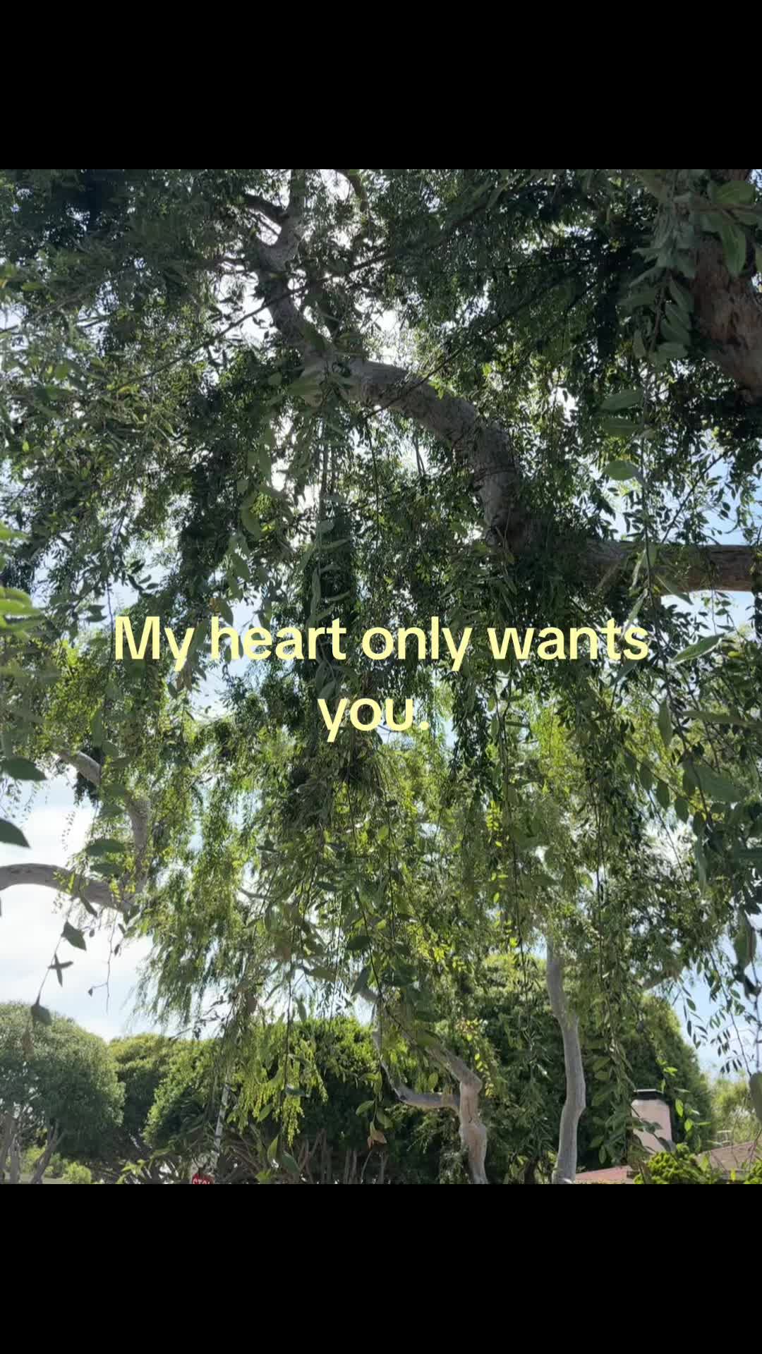 @Defnotme123