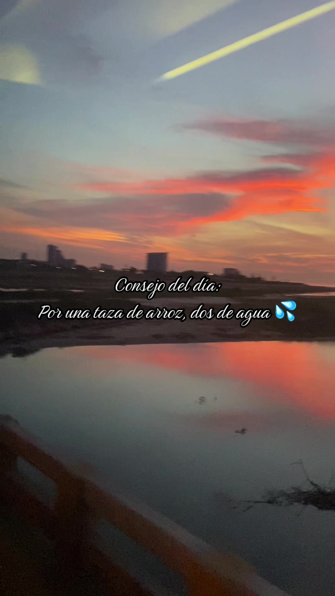 @Soy Selena  🙋🏼&zwj;♀️