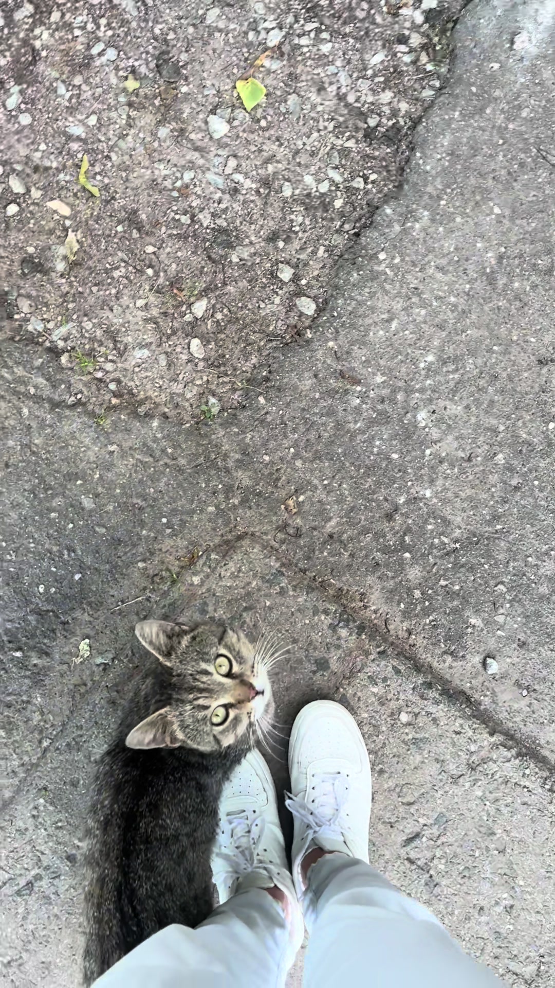 @Оля & Co🐈⬛🐈