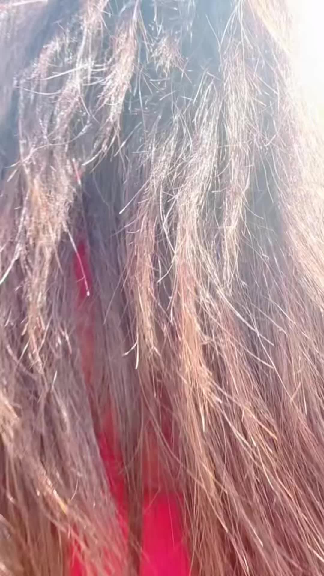 @Maharani✨ साहेबा🕊️