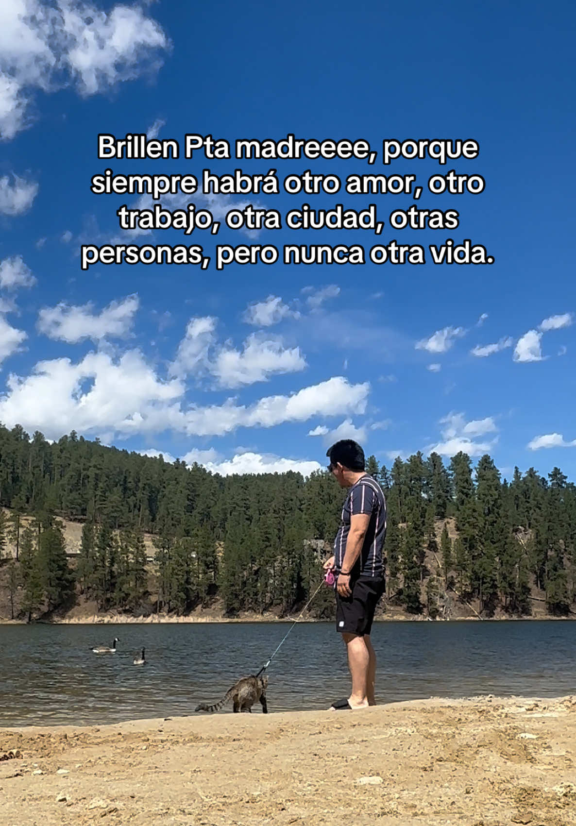 @🥷Díselo al Chino🦔