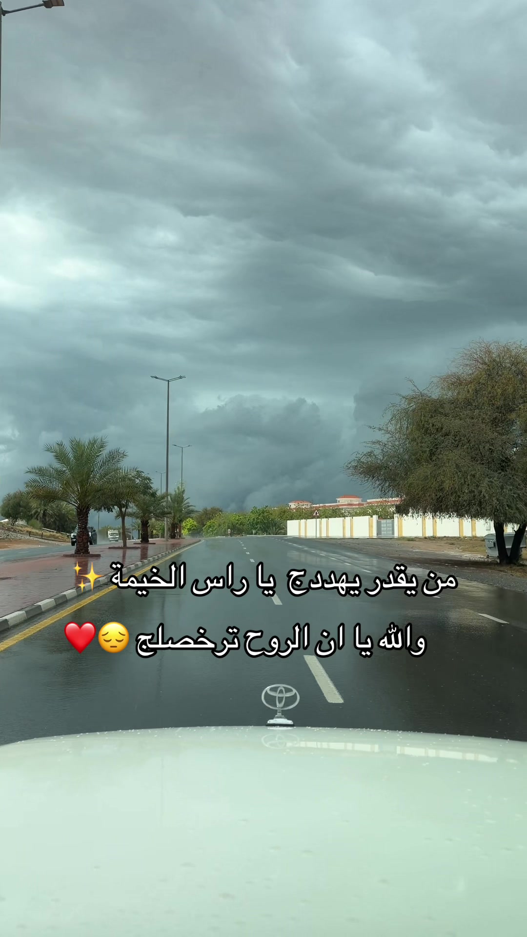 @﮼بن،حميدان • 🇦🇪 𝕋𝔻