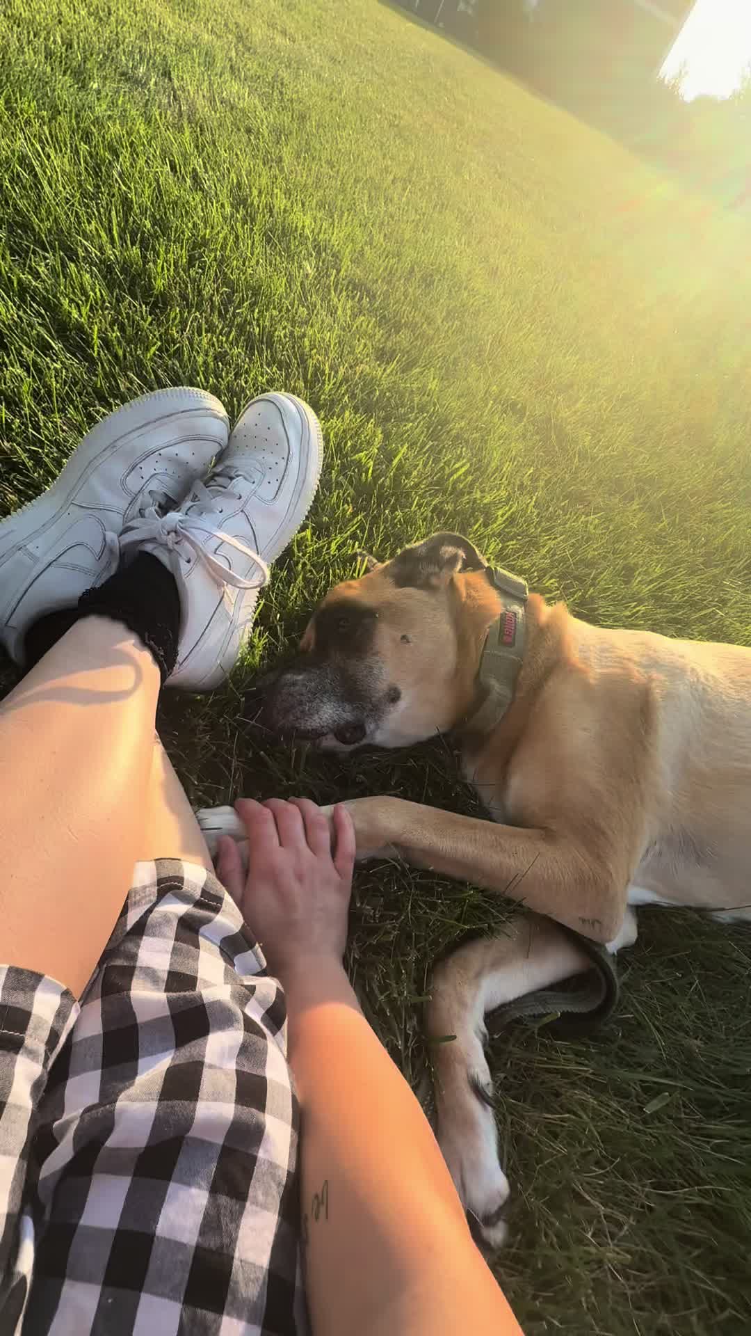 @oliviaxnoel