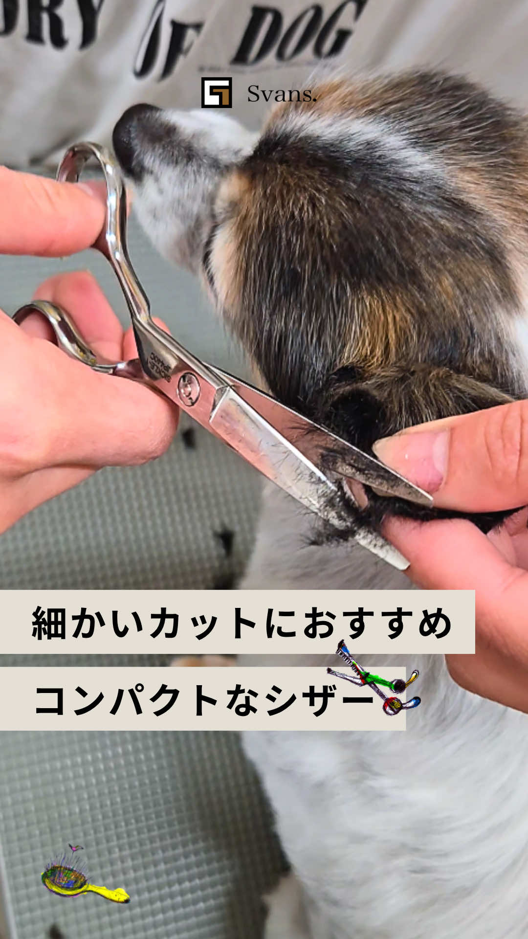 @Svans（スバンス）｜トリマー向けシザー&バリカン専門