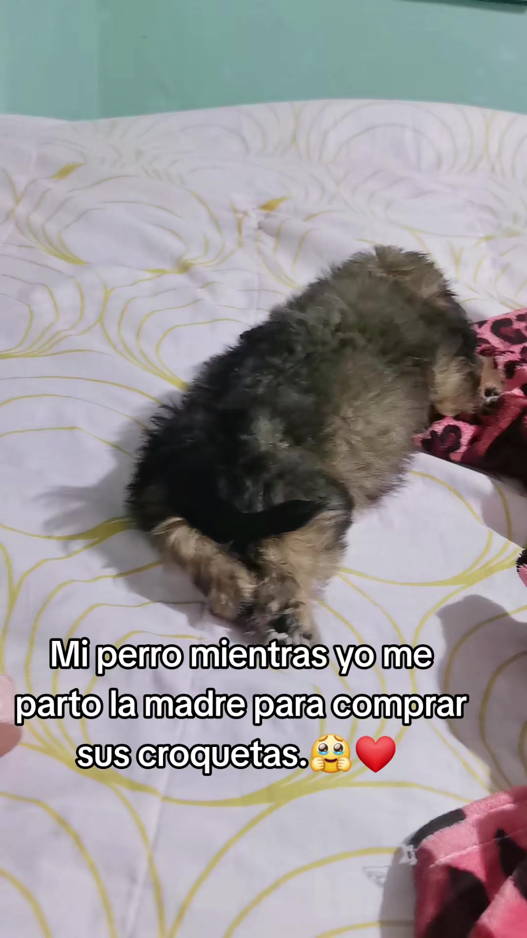 @Rosario Barragán