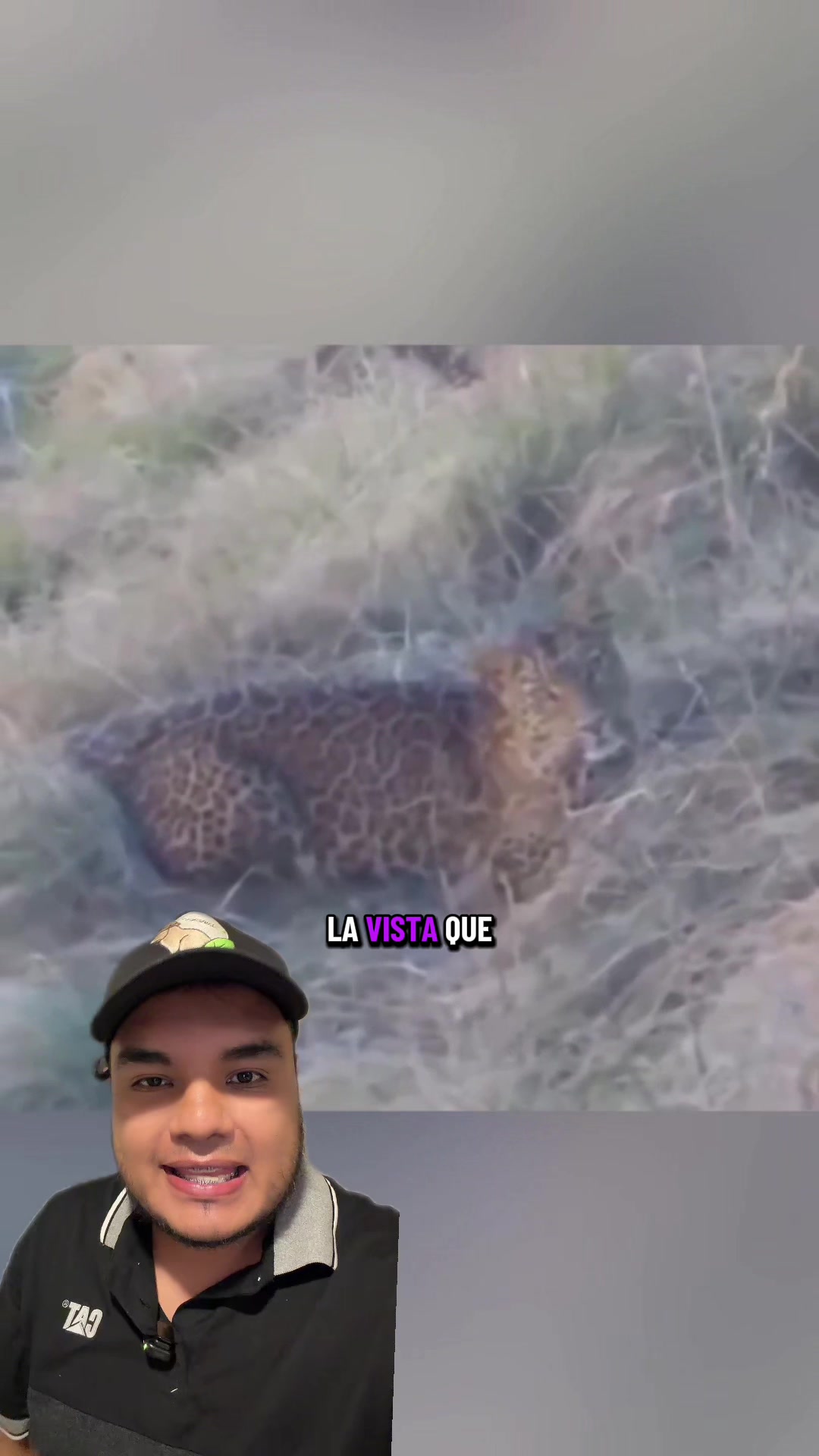 @Jair Herrera 🐆