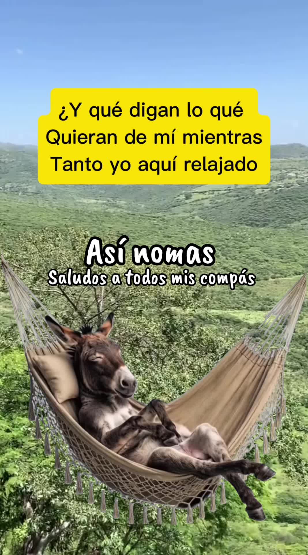 @Antony Saavedra