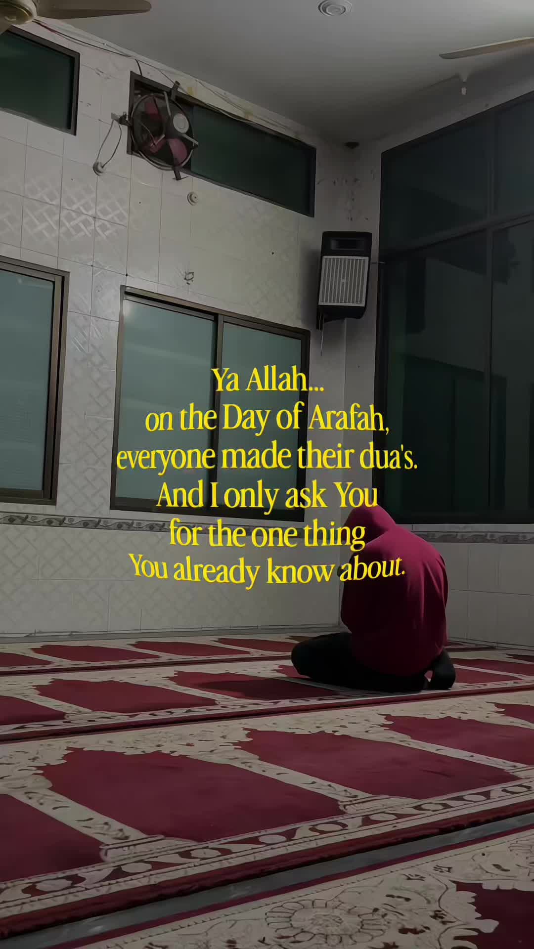 @Halal Mohsin