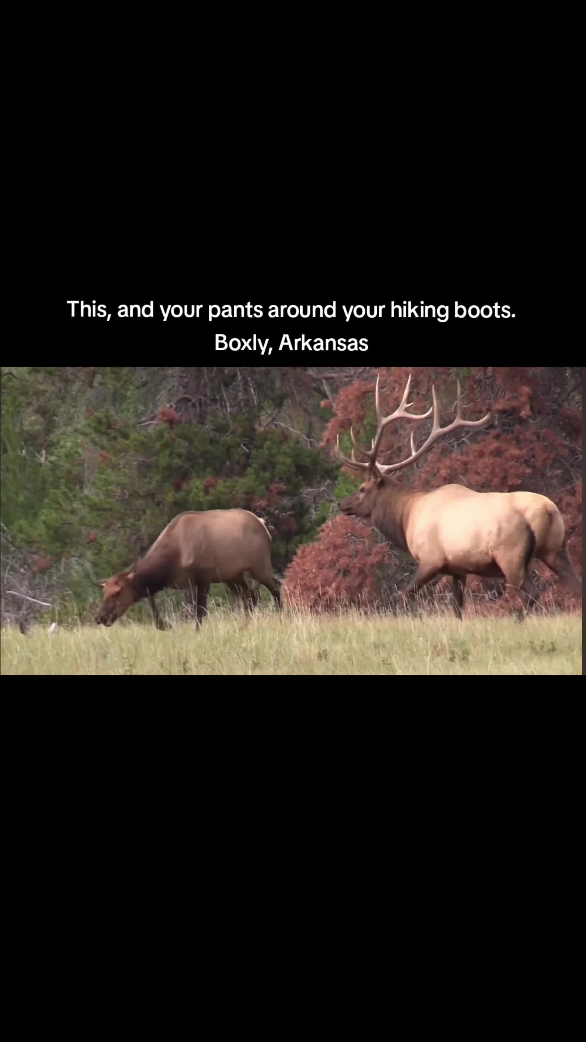 @Ozark National Forest