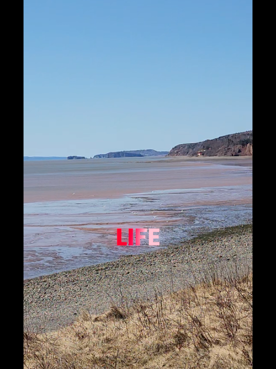 @ᖴᗩᗯKEᑎ ᑕᕼEᖇᖇYᗷOᗰᗷ🚒🇨🇦