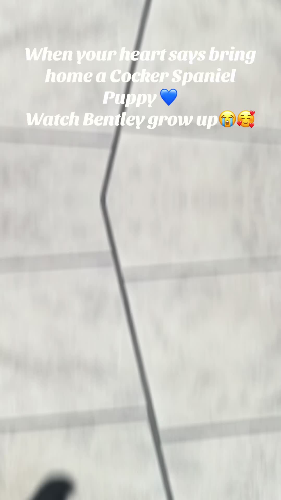 @SammiKay