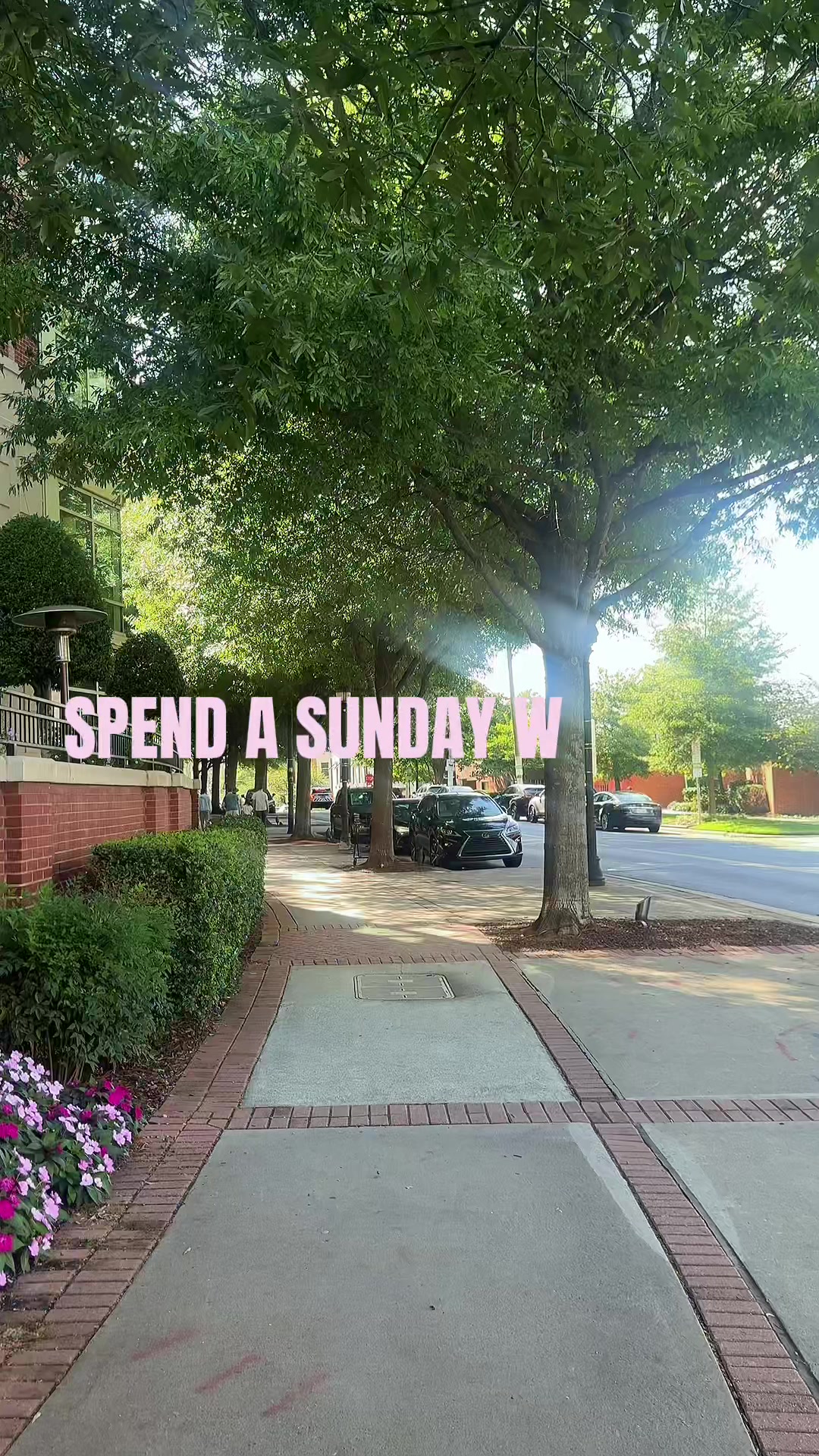 @Sarah | CLT Content Creator