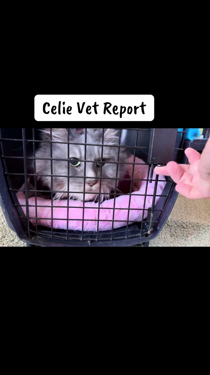 @Michele Klein