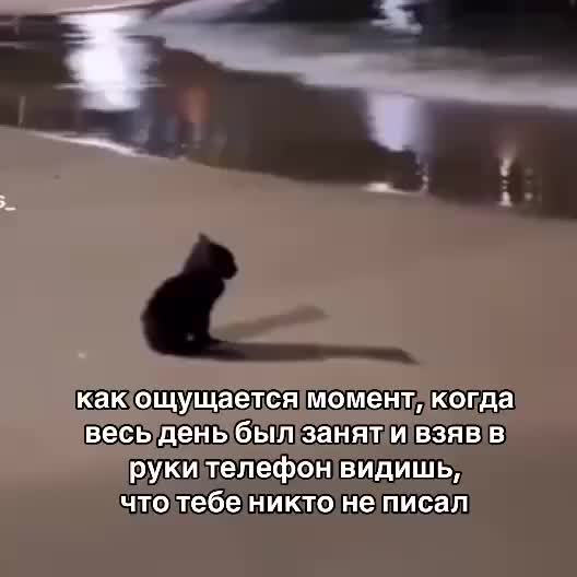 @jenik_🎧