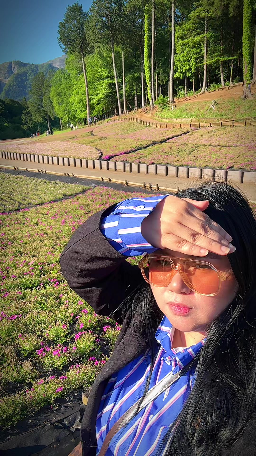 @machelinjapan