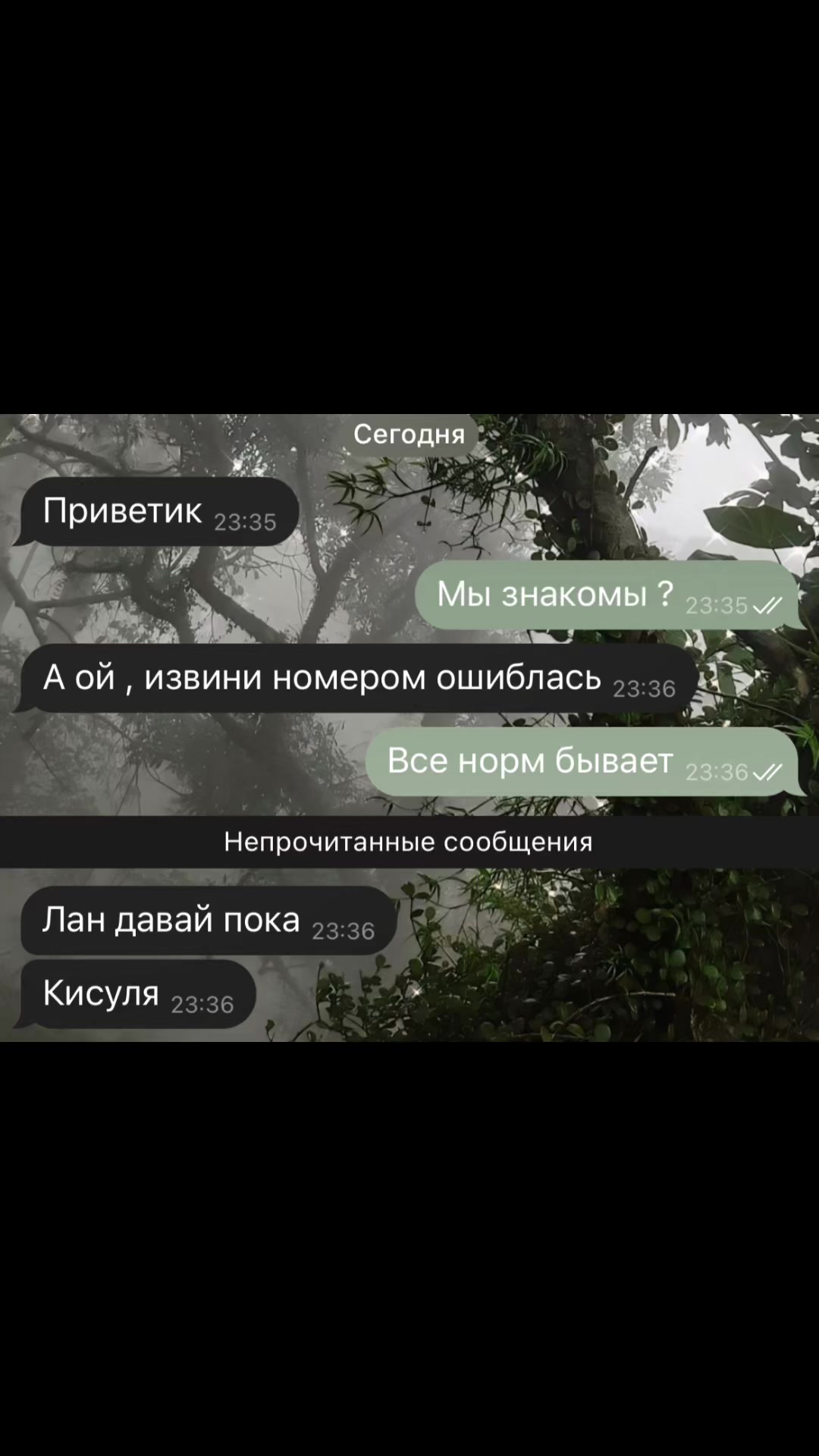 @Рина стендоф 😾