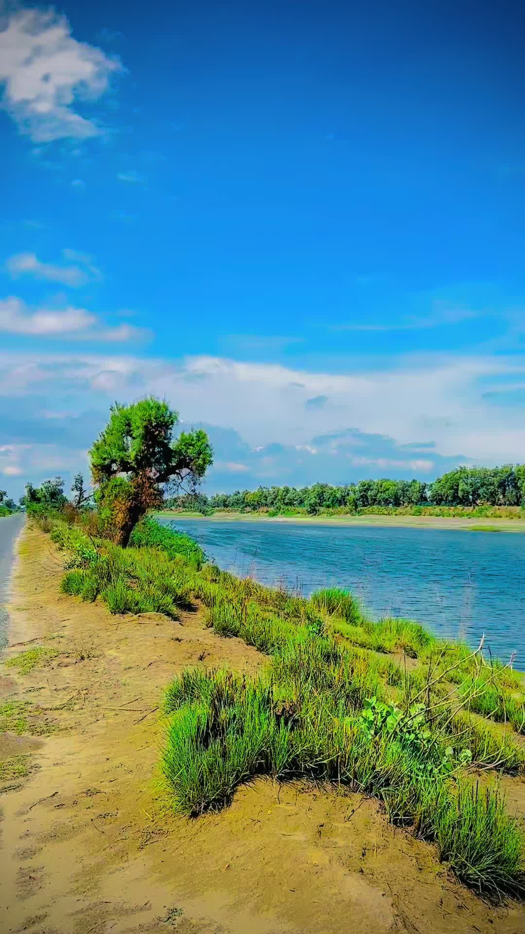@نیازی