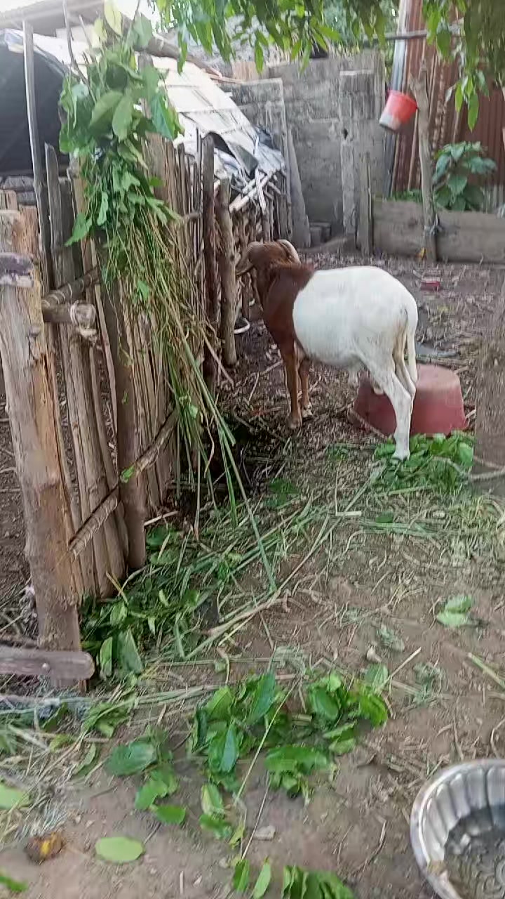 @Sangaré Moussa