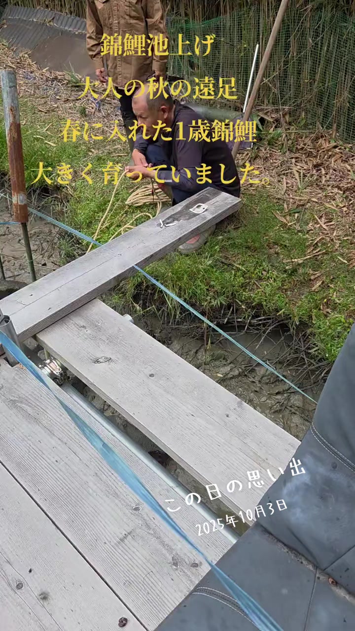 @零🇯🇵🌸零戦一番機🌸🇯🇵