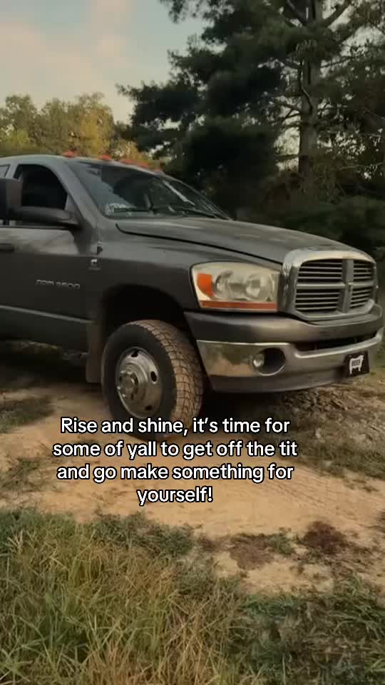 @tripleclivestock