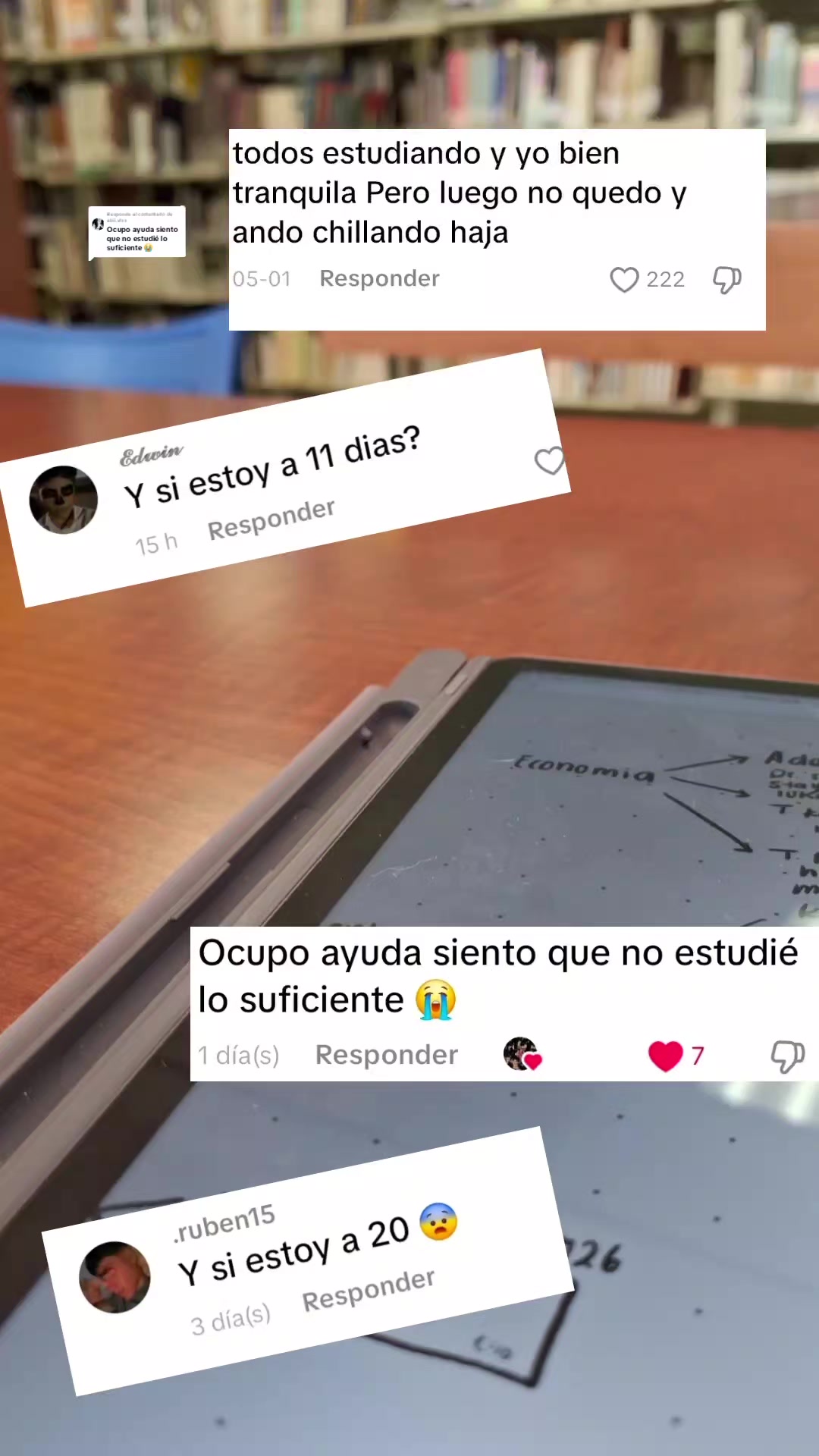 @carito