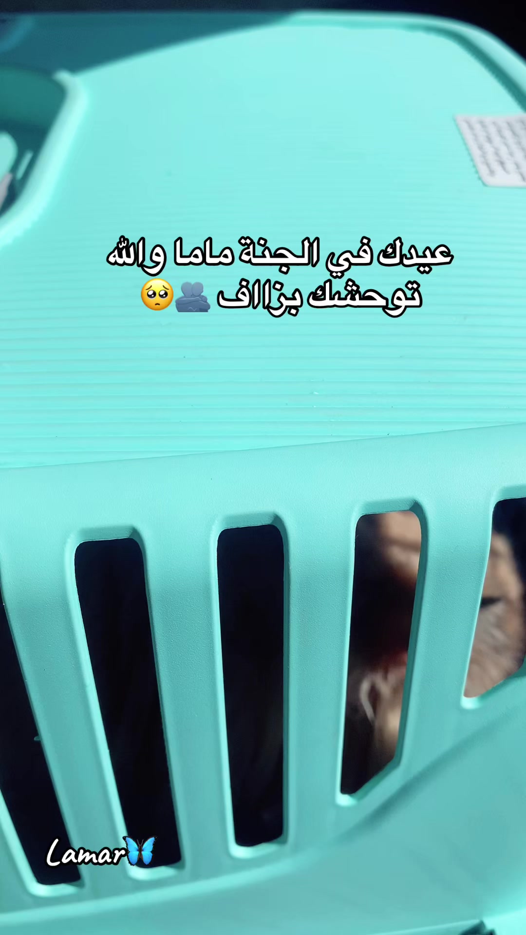 @Aldo🪬