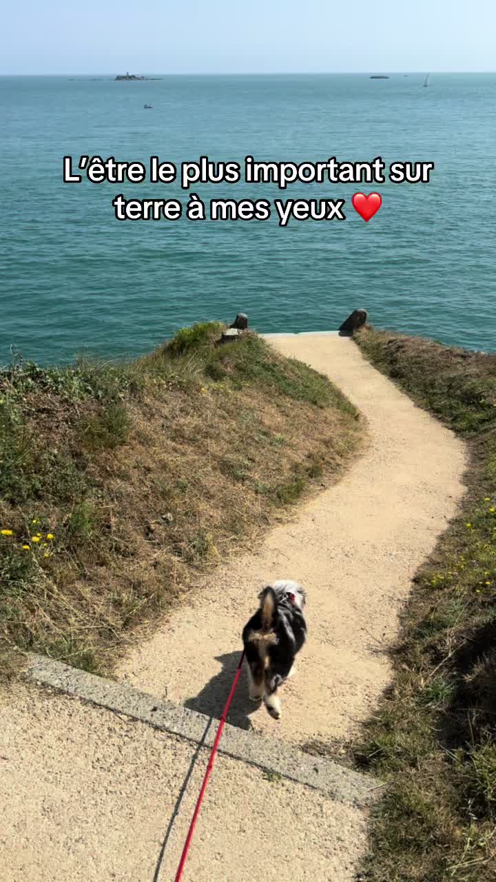 @Enora Sablons