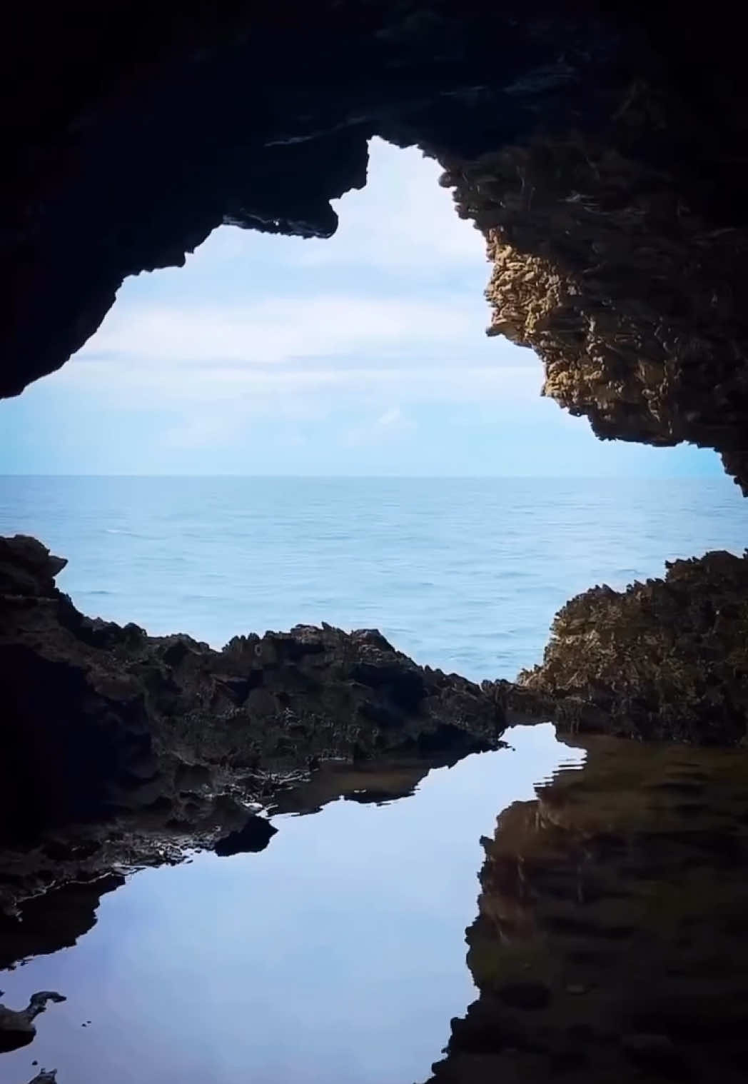 @𝕋𝕀𝔽𝔽𝔸ℕ𝕐 𝕃.