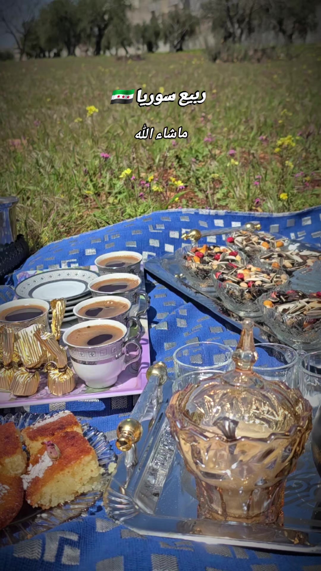 @جوى الروح🦋✨