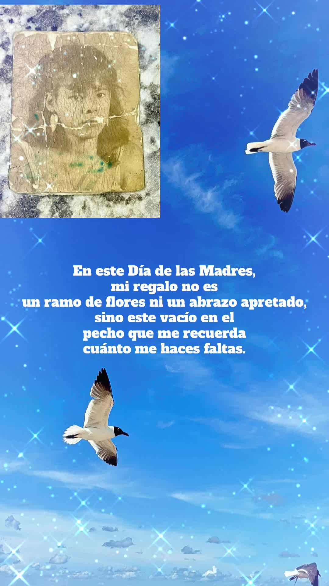 @Geisy 🇨🇺