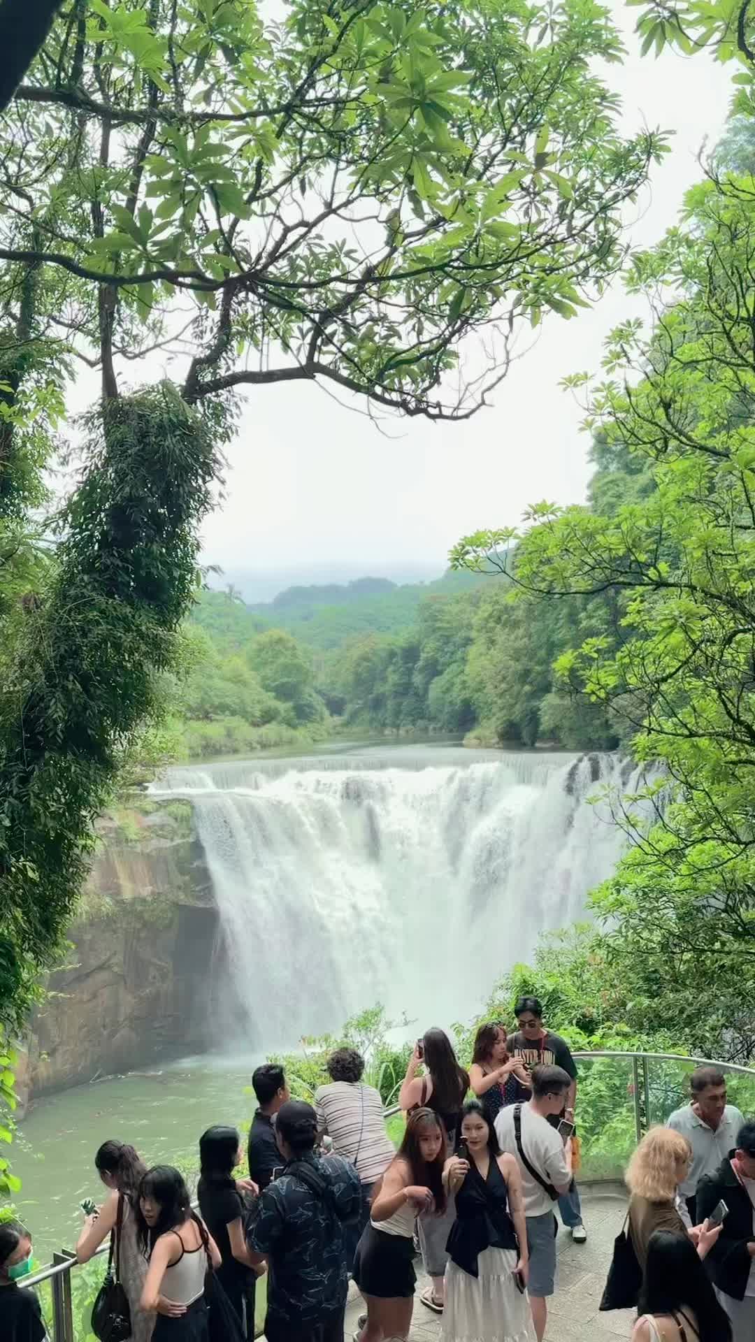 @希拉拉