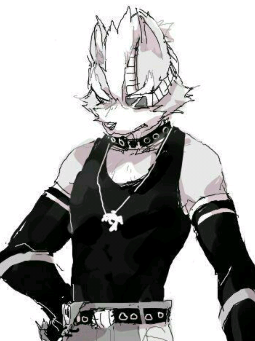 @Zelia❄️🩵 (Wolf's version)