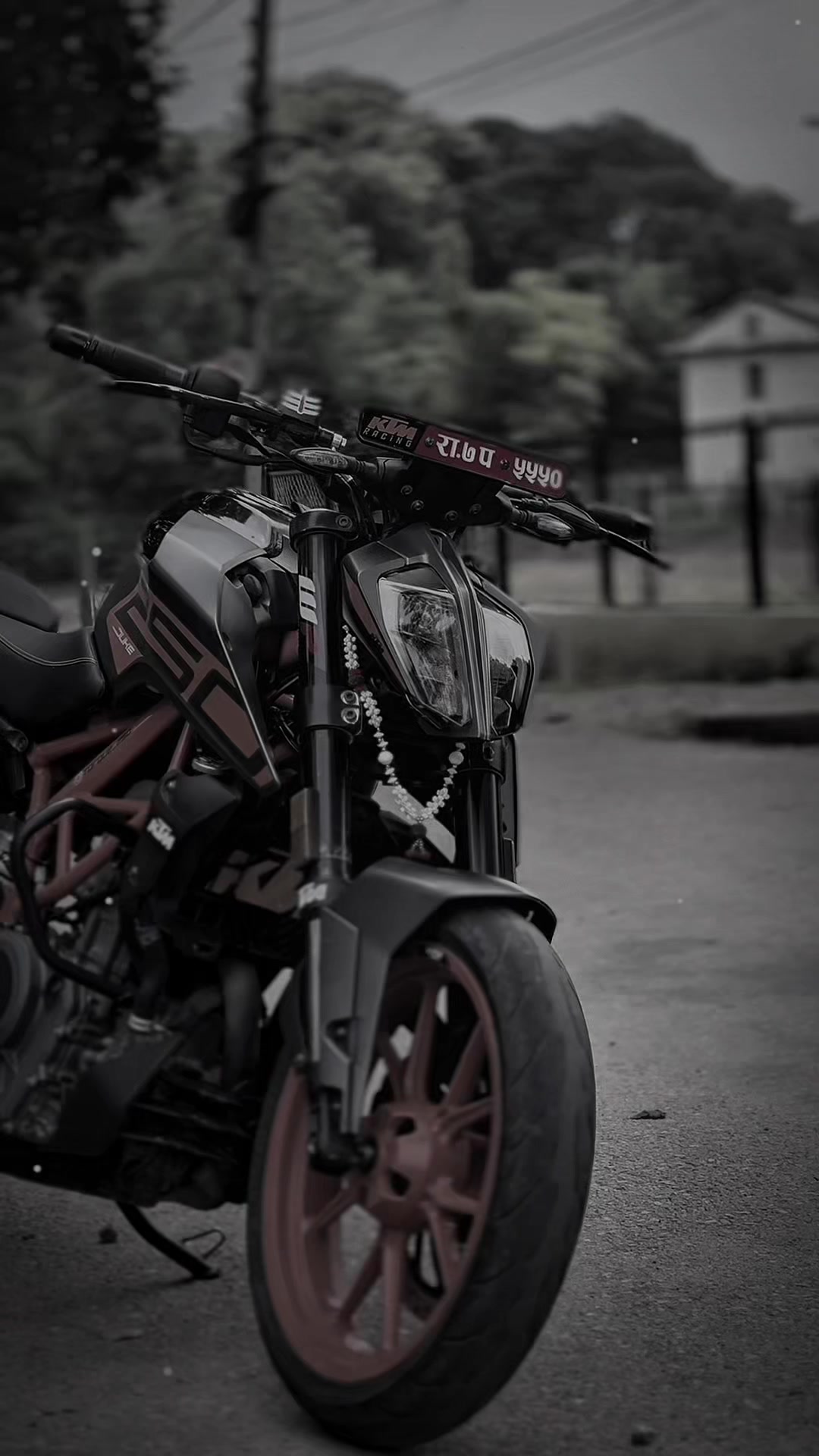 @ＴＯＲＱＵＥ_２５０ 💀