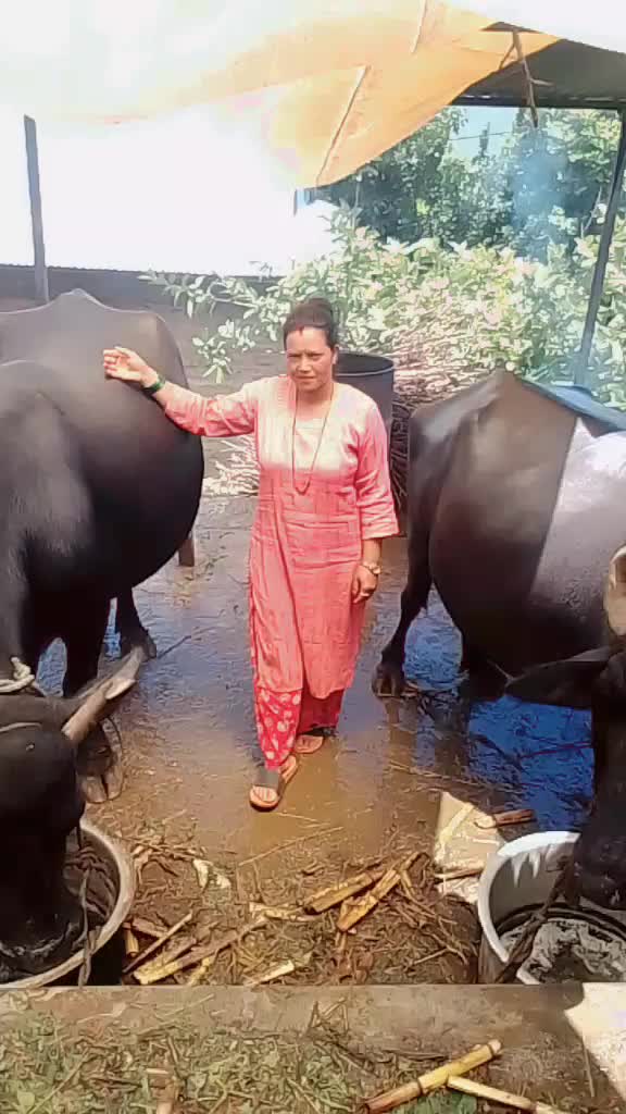 @Manita Badal
