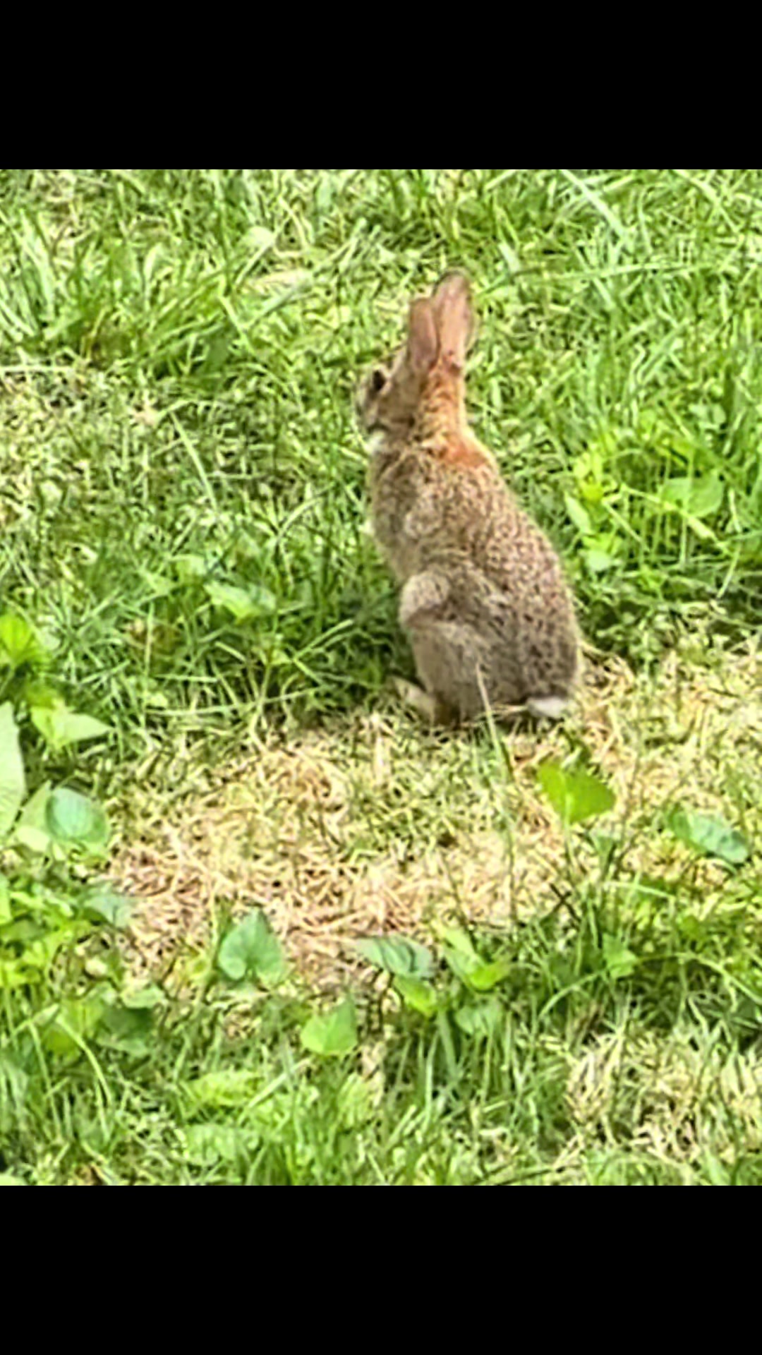 @gobigadventuresfarm