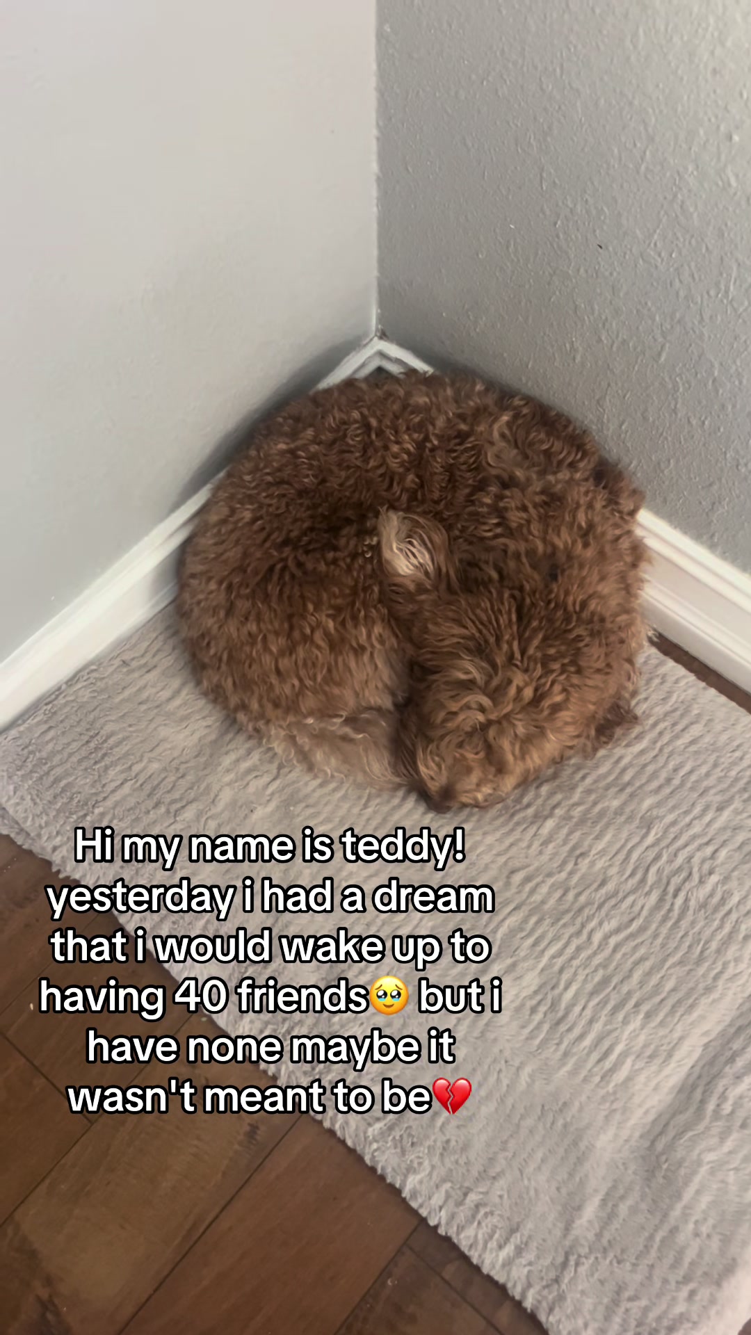 @Jojosfindzz