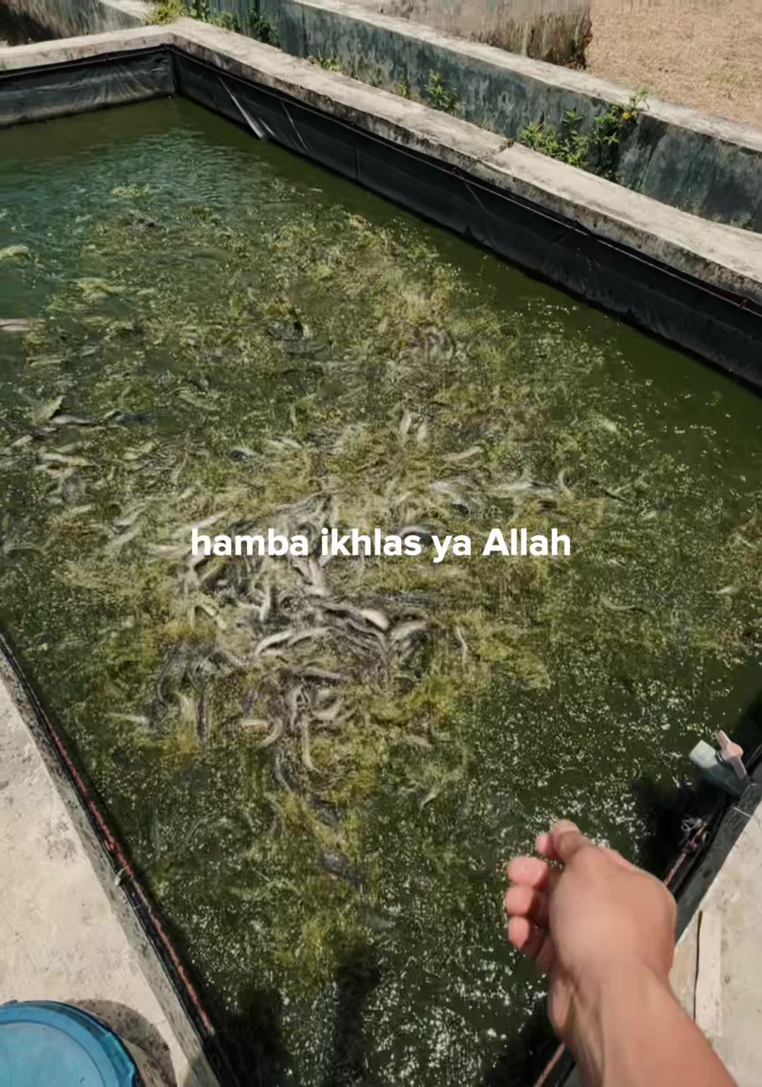 @ikhsansann