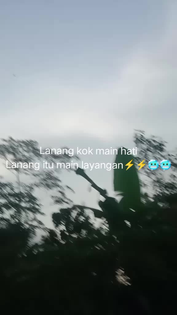 @ganstecu⚡⚡