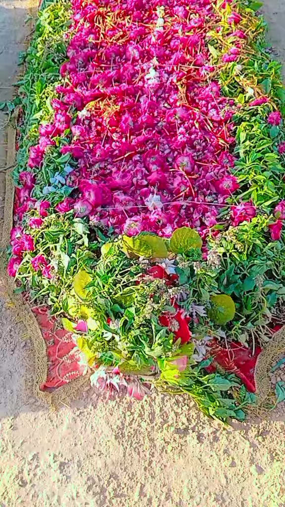 @Asad Ali jakhro