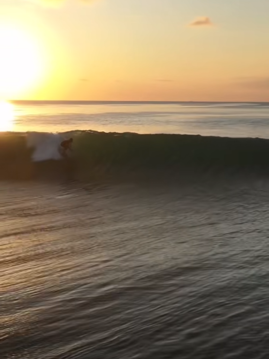 @Otua🪼surf